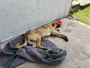 FB_IMG_1761673580208