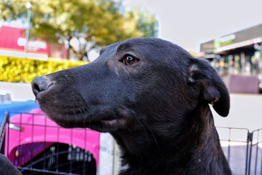 FB_IMG_1762461855345