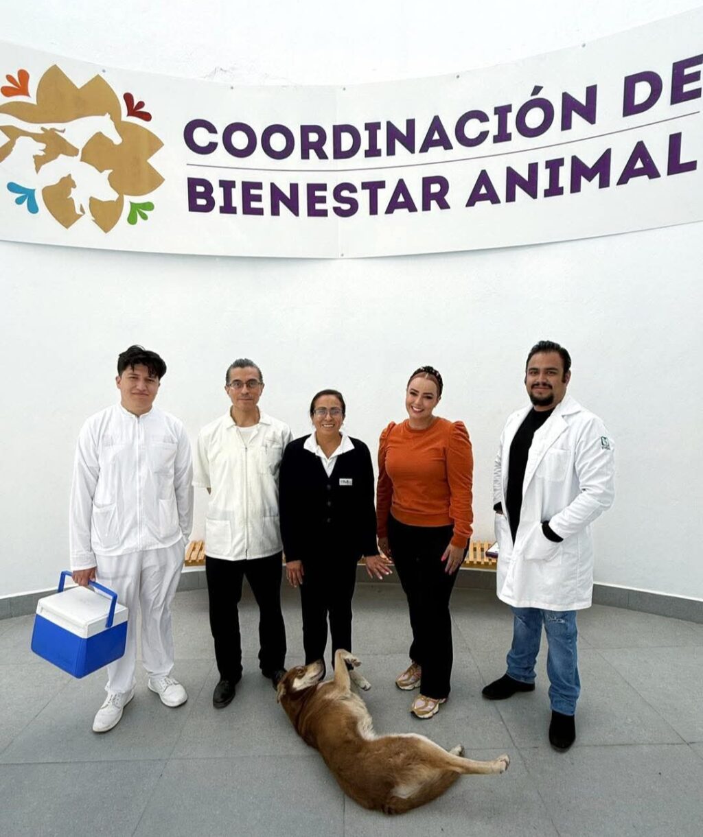 Screenshot_20251125-090434.Facebook~2