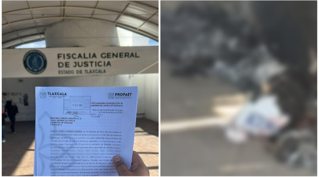 Screenshot_20251211-141233.Picsart