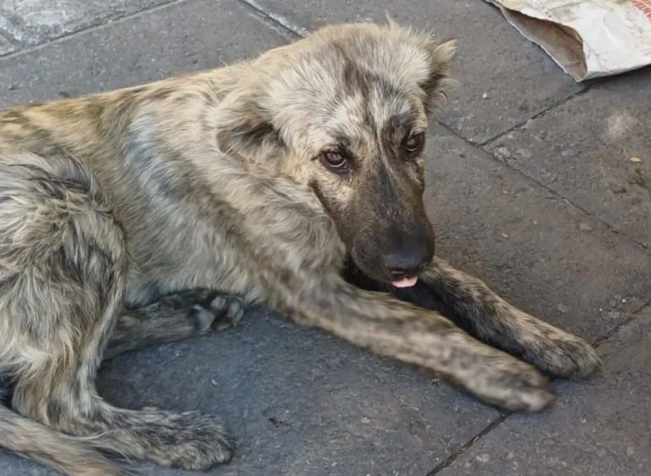 FB_IMG_1768072660696~2