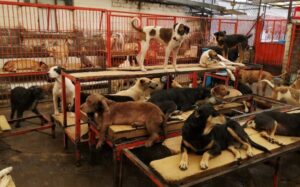 Refugio-Franciscano-en-Cuajimalpa-Jorge-Becerril