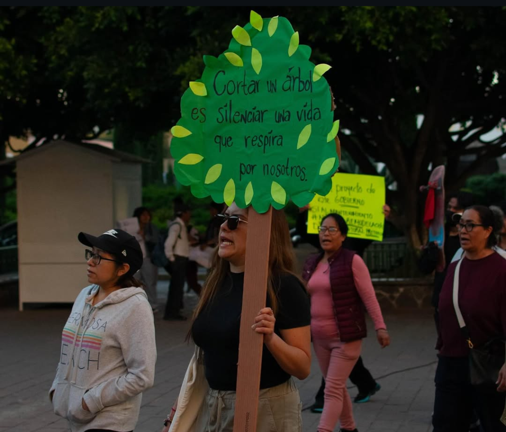 Screenshot_20260111-165142.Instagram