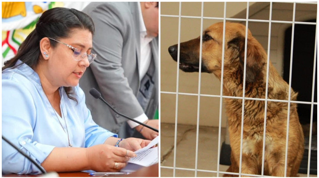 Screenshot_20260113-134307.Fotos