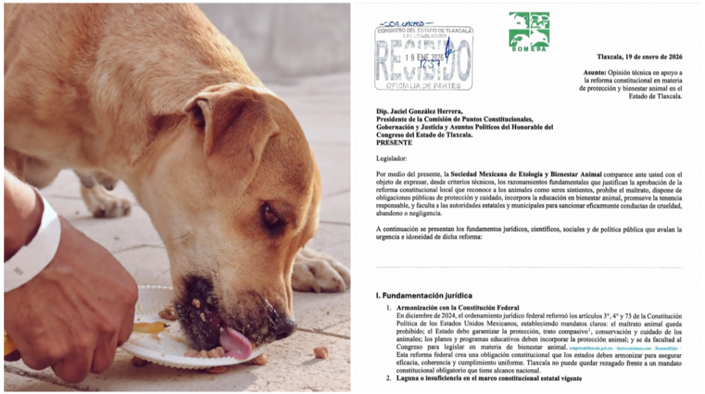 Screenshot_20260120-130838.Fotos