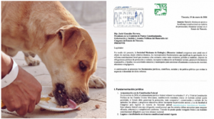 Screenshot_20260120-130838.Fotos