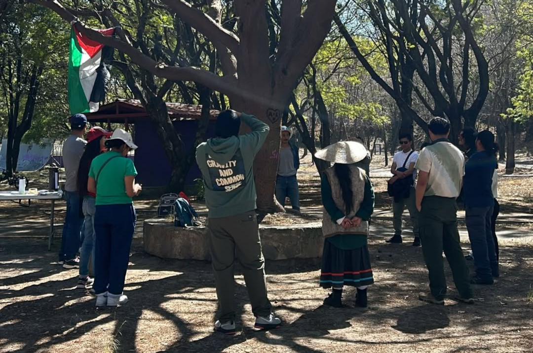 Screenshot_20260125-161433.Instagram