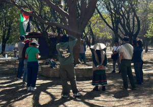 Screenshot_20260125-161433.Instagram