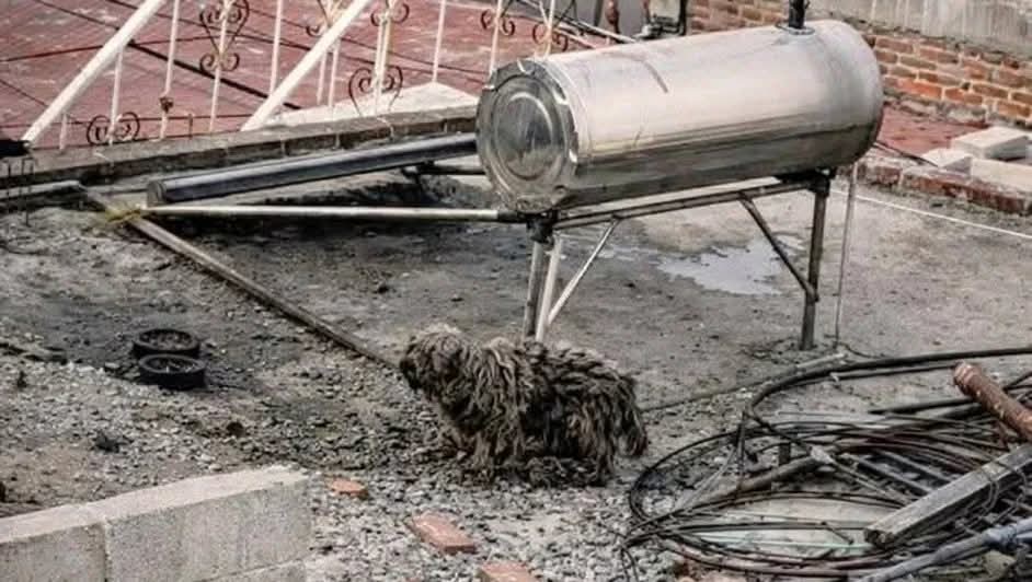 FB_IMG_1770390178420