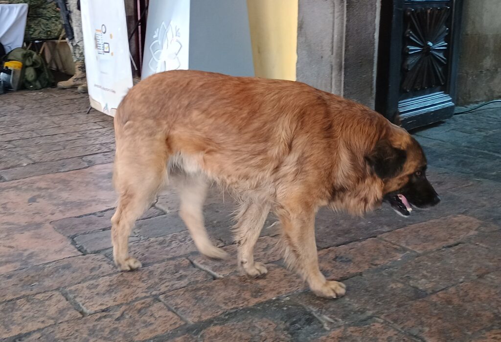 IMG_20260219_115339362_HDR