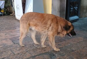 IMG_20260219_115339362_HDR