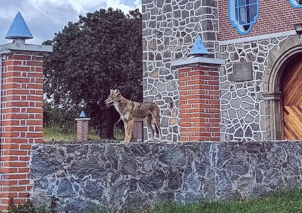 Screenshot_20260211-123456.Fotos