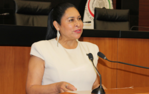 Screenshot_20260211-201130.Fotos