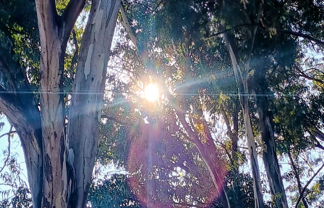 IMG_20260122_093129046_HDR~2