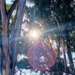 IMG_20260122_093129046_HDR~2