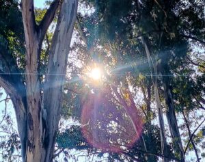 IMG_20260122_093129046_HDR~2