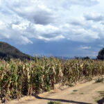 Buscan que municipios acaten la ley y eviten prácticas que alteren ciclo hidrológico