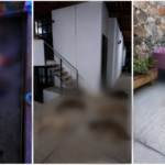 Oleada de inseguridad deja a más de 20 perros envenados en Apetatitlán