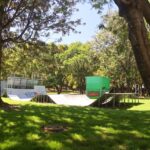 Activistas y gobierno acuerdan acciones para protección del Parque de la Juventud