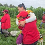 Ana Lilia reivindica al campo tlaxcalteca como una de las mayores fortalezas de México