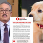 Condenan discurso de odio contra animales de compañía