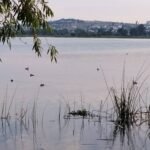 Promueven iniciativa para la protección del patrimonio ambiental de Tlaxcala