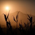 Buscan reconocer la importancia natural, histórica y social de la Malinche 
