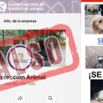 Alertan por estafas con reportes de mascotas extraviadas en Tlaxcala