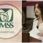Diputada cuestiona funcionalidad del IMSS-Bienestar, pide evaluar su continuidad