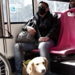 Buscan dar mayor certeza jurídica a personas con discapacidad que usen perros de asistencia
